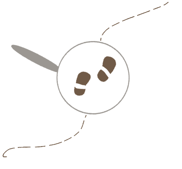 A hand-drawn magnifying glass held over a path, showing a trail of footprints.